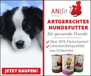 anifit hundefutter